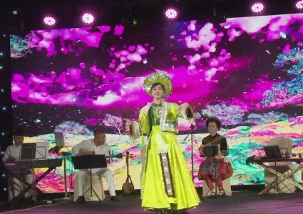 Vietnamese culture shines in Czech Republic
