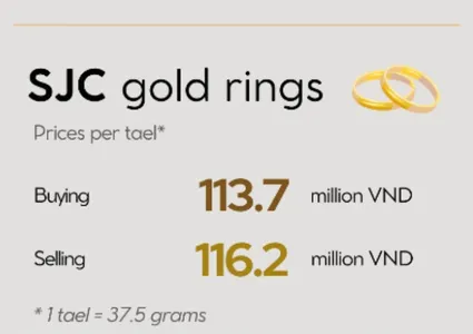 Domestic gold prices remain stable on June 23
