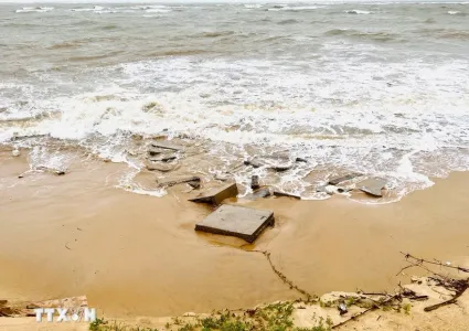 Storm Nongfa abates into tropical depression