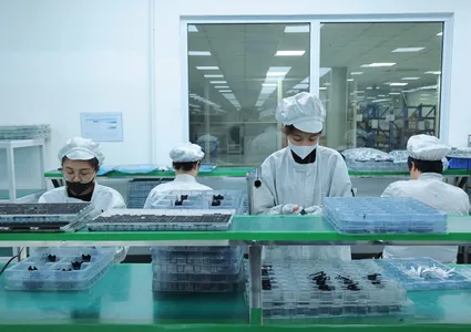 Processing industry emerges as Vietnam’s golden driver of export growth