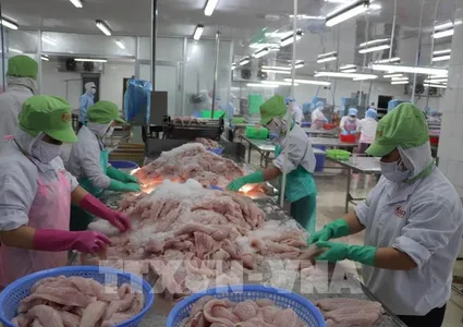 Turning seafood by-products into billion-dollar industry