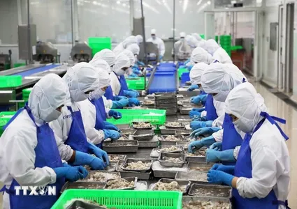 Vietnam’s seafood sector capitalises on FTAs