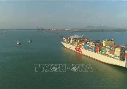 HCM City Department of Tourism proposes reception of int'l cruise ships at Cai Mep–Thi Vai