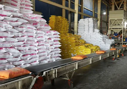 Vietnam exports 7 million tonnes of rice, earning nearly 3.59 billion USD