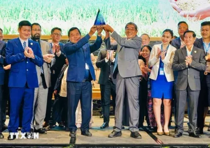 Vietnam's ST25 rice once again named world's best
