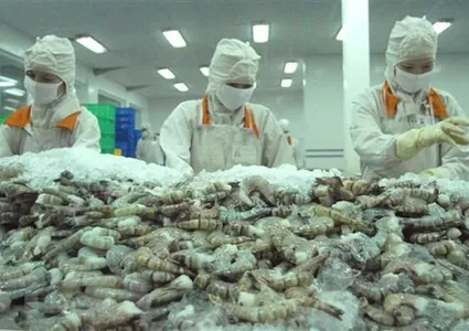 Vietnam earns 1.1 billion USD from shrimp exports to China