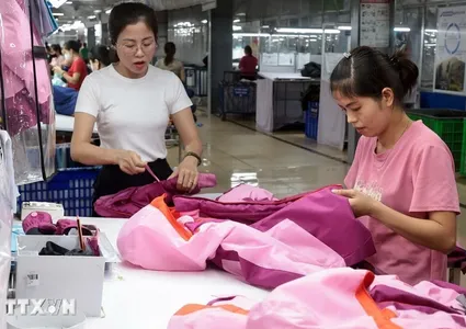 Vietnam, EFTA working on 18th FTA negotiation round in Da Nang