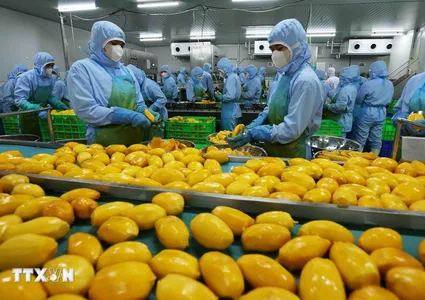 Fruit, vegetable exports post successive breakthroughs
