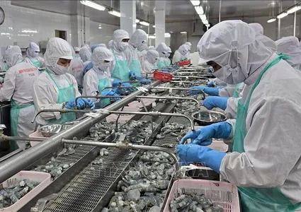 Vietnam’s exporters gear up for recovery as new markets open