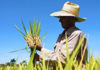 Three Pillars of Cooperation Form the Foundation of 65 Years of Vietnam-Cuba Friendship