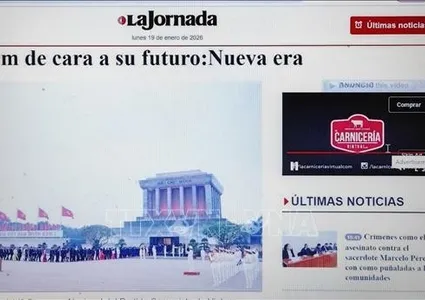 Strong gains across sectors pave way for Viet Nam's future path: Mexican scholar