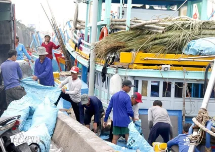 Gia Lai tightens fishing fleet management to combat IUU fishing