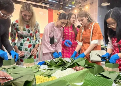 Spring fair brings Vietnamese Tet spirit to France