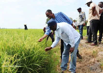 Can Tho shares agricultural transformation experience with Zambia