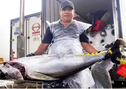 Gia Lai plans Tam Quan smart fishing port to lift exports