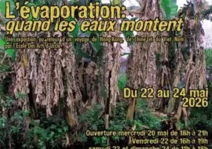 Exhibition in Brussels brings Vietnamese spirit to life through Belgian art