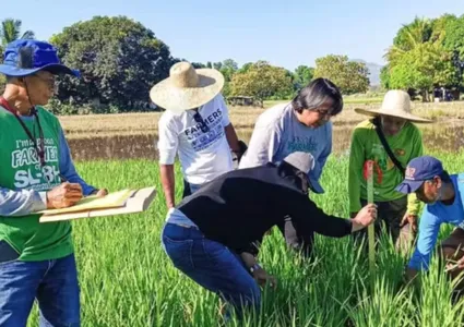 Vietnam, Philippines further boost cooperation in food security