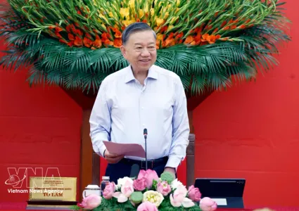 Foreign affairs should better serve national development: Top leader
