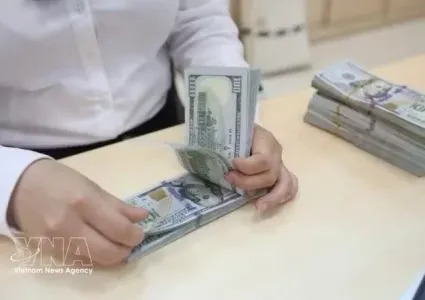 Reference exchange rate up 25 VND at week’s beginning
