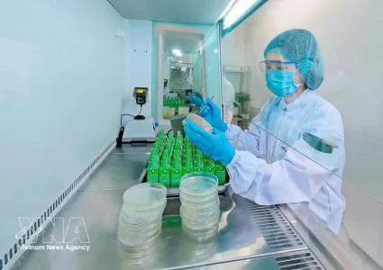 Resolution helps drive foreign direct investment into green economy