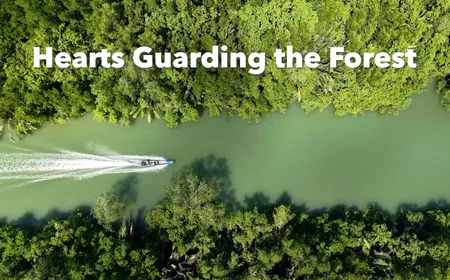 Hearts Guarding the Forest - Insights