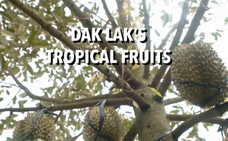 Dak Lak's Tropical fruits - Fine Cuisine