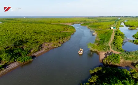 Sustainable livelihood under the mangrove trees
