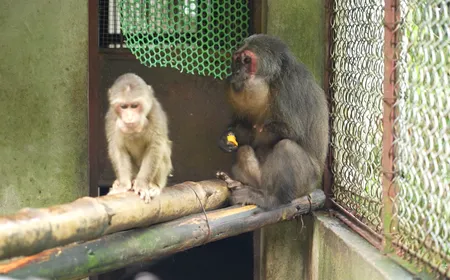 Sapa's Haven for Wildlife