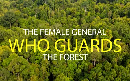 The female general who guards the forest - Vibes of Vietnam