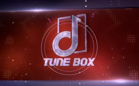 Mỹ Anh - A neo-soul singer - Tune Box