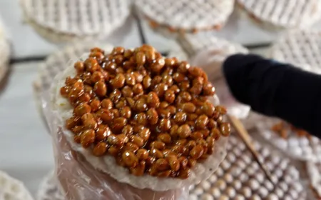 Local specialty of Ha Tinh's hometown - Fine Cuisine