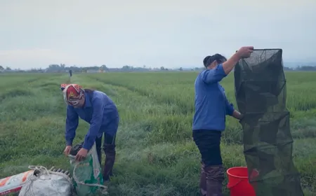 Traditional Field Eel Catching in Nghe An
