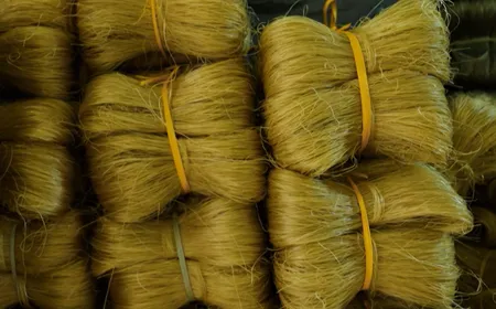 Cu Da glass noodles - The Rhymths of Vietnam
