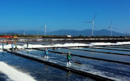 Carbon credit market: A new chapter toward Net Zero | Bizline
