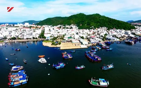 The flavour of the sea - Vibes of Vietnam