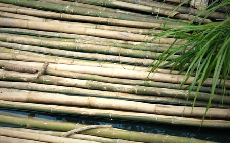 Handicrafts from bamboo - Vibes of Vietnam
