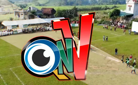 Have you found your match in Vietnam? | Eyes on V