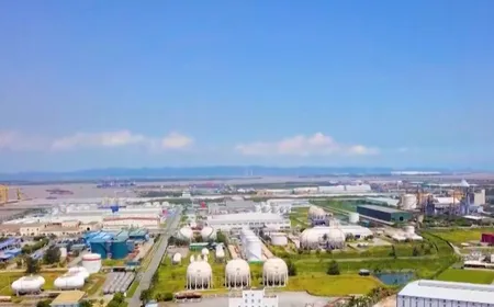 Measures proposed to unlock domestic export potential | Bizline