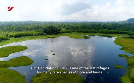 The wildlife of Cat Tien - Insights