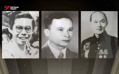 The homebound minds - Insights