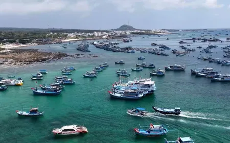 The Point 1: Lifting the IUU Yellow Card: Vietnam’s Determined Effort - 12.11.2025