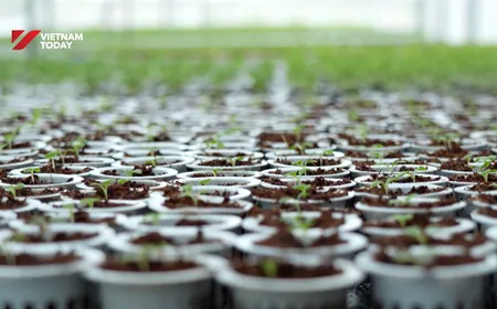 Agriculture – pillar of national development | Bizline