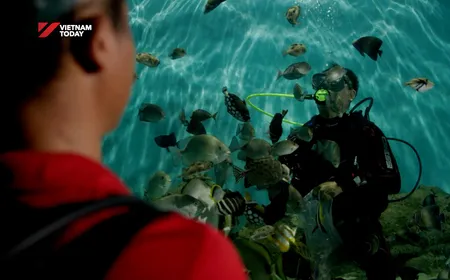 China Link | 03.12.2025