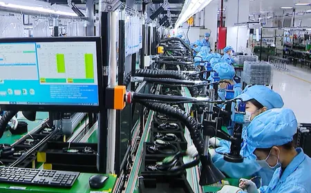 Vietnam Creator economy takes shape | Bizline