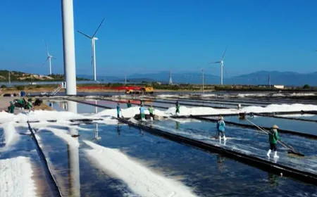 The Point 1: The New Global Rules for Vietnamese Exporters | 24.12.2025