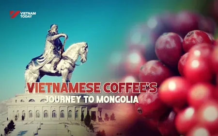 Vietnamese coffee’s journey to Mongolia | Local Towards Global