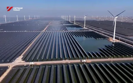 The Clean Energy Transition Worldwide | Global Insight