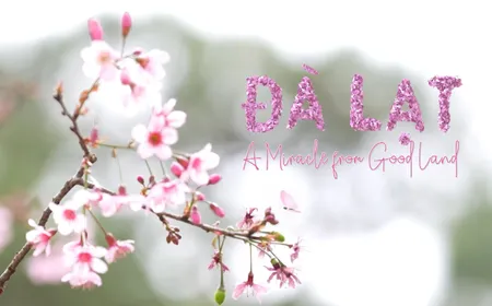 Đà Lạt - A Miracle from good land | Local Towards Global