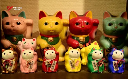 Japan Link - 22.01.2025