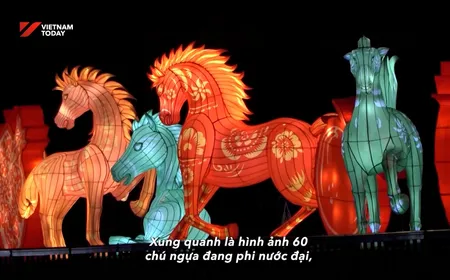 Beyond the Gallop | Insights